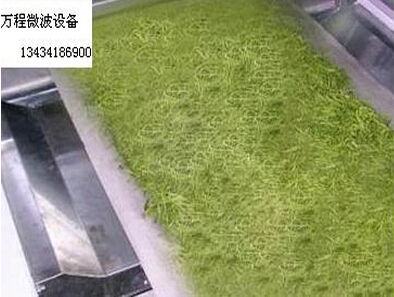 微波茶葉殺青機