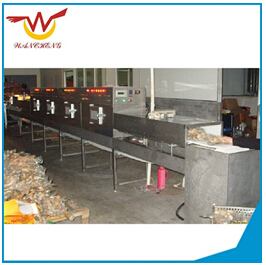 食品微波殺菌設(shè)備食品無(wú)憂